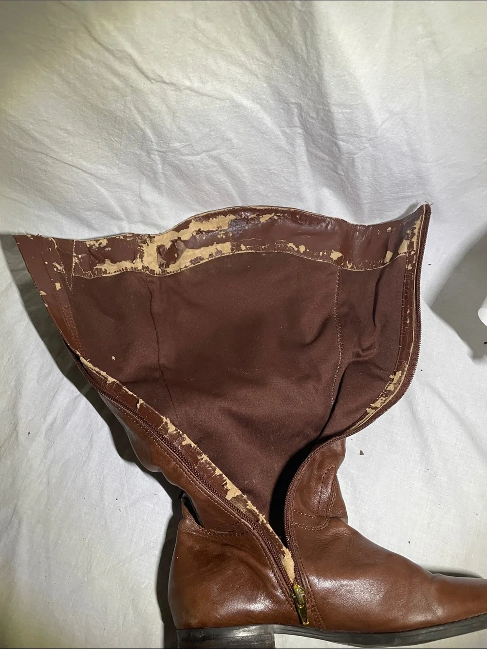 Audrey Brooke Tall Brown Leather Zip-Front Riding Boots women’s 7.5